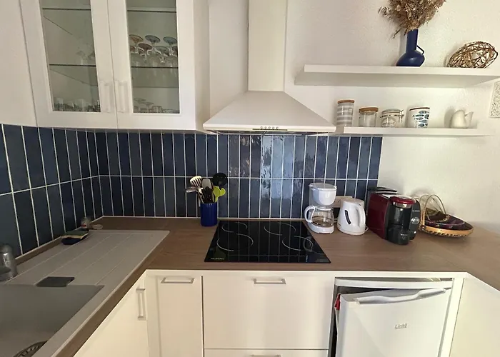 T2 Mezzanine, 5 Pers, à 600m De La Plage. Animaux Admis. - Fr-1-793-36 Villa *