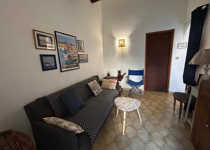 T2 Mezzanine, 5 Pers, à 600m De La Plage. Animaux Admis. - Fr-1-793-36 *