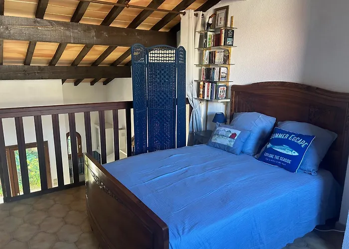 T2 Mezzanine, 5 Pers, à 600m De La Plage. Animaux Admis. - Fr-1-793-36 *