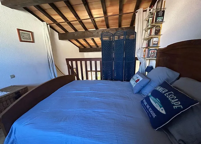 Villa T2 Mezzanine, 5 Pers, à 600m De La Plage. Animaux Admis. - Fr-1-793-36 *